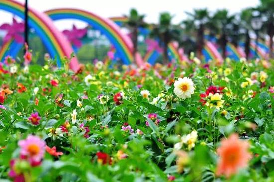 2013����԰��԰������