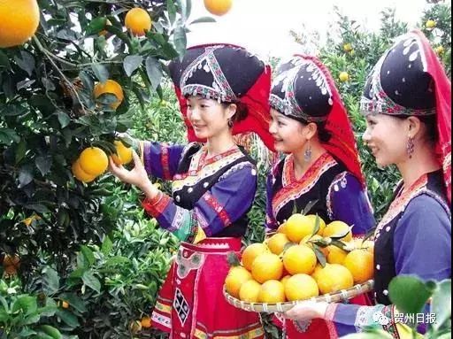 柳州景点有哪些