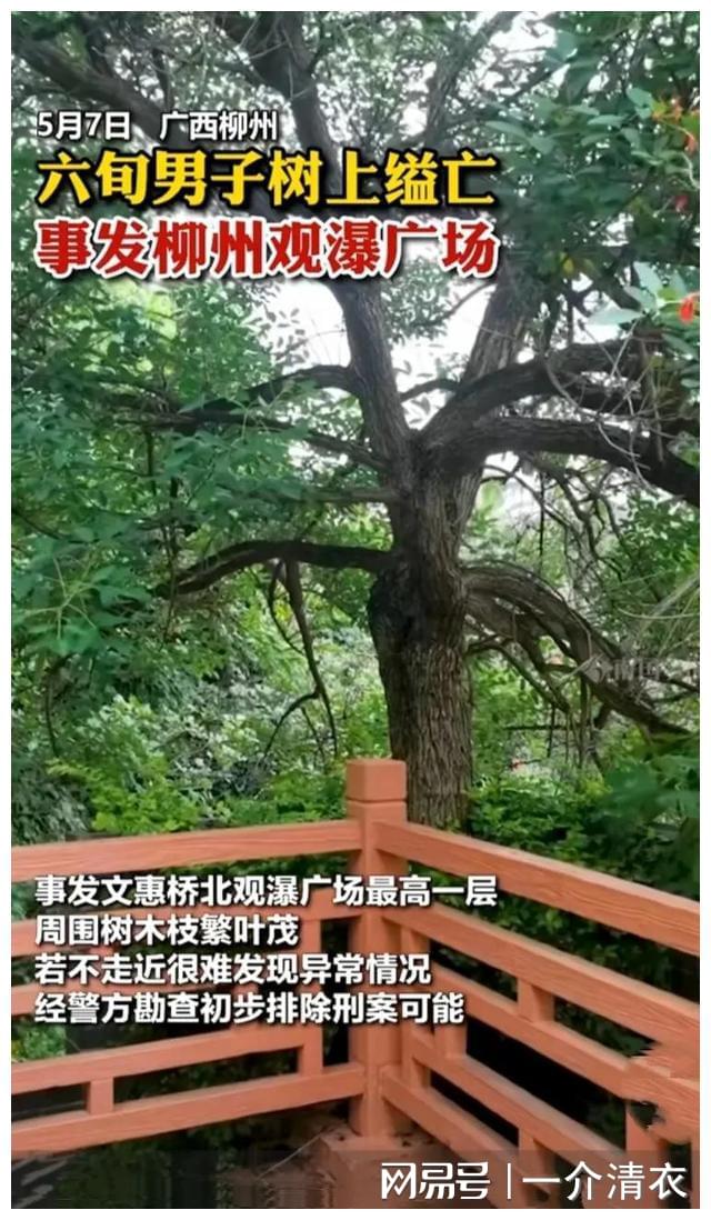 柳州观瀑广场一男子树上自缢，年龄59岁！