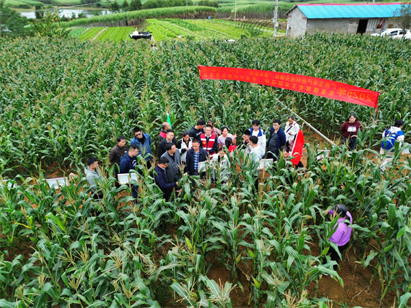 ׿Ƽȷ֧ӵضȪٰʳƷ֡¼ֳ