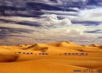 ���ݻ��칫˾