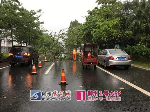 ���ݰ�ҹ�˾