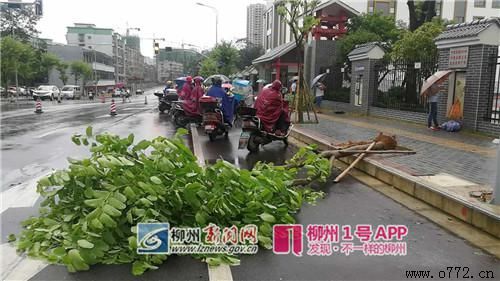 ���ݰ�ҹ�˾