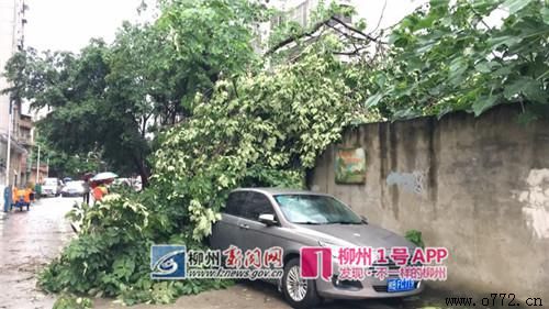 ���ݰ�ҹ�˾