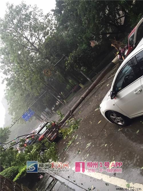 ���ݰ�ҹ�˾