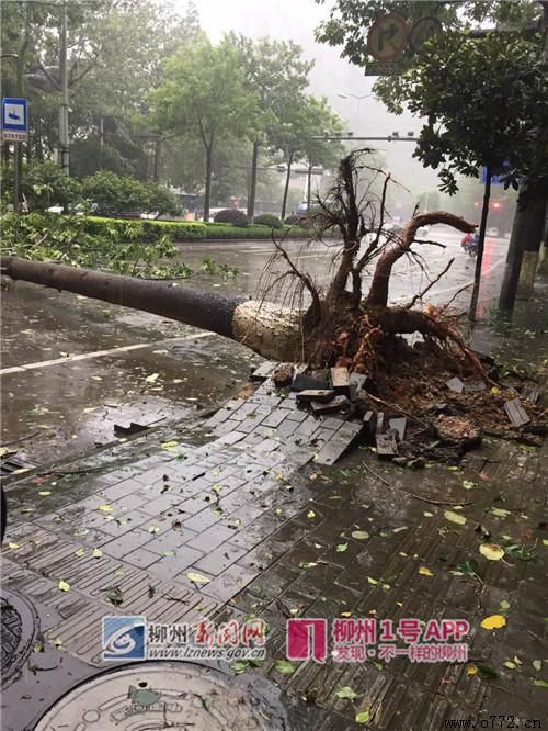 ���ݰ�ҹ�˾