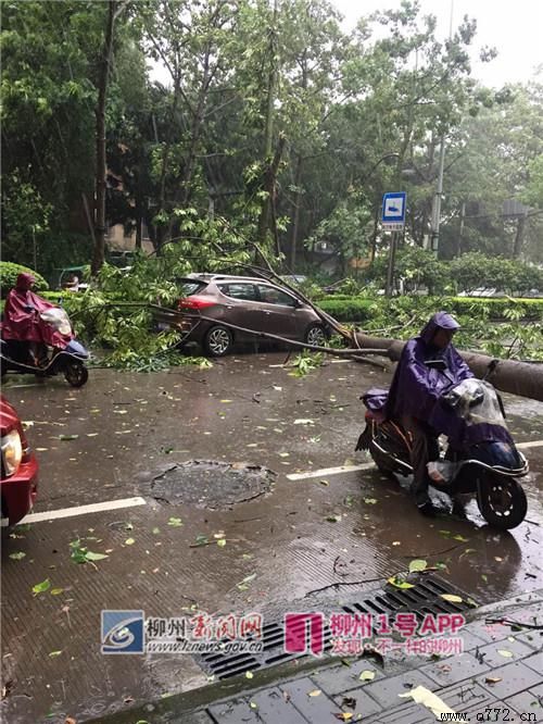 ���ݰ�ҹ�˾