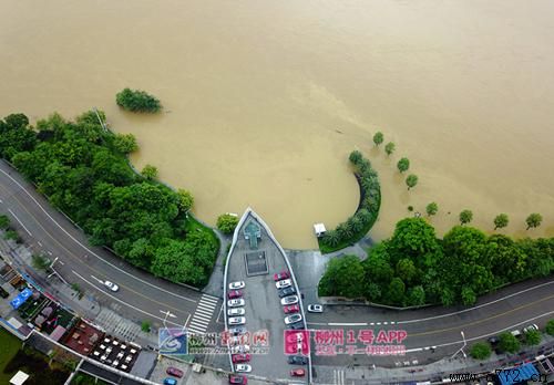 ���ݰ�ҹ�˾