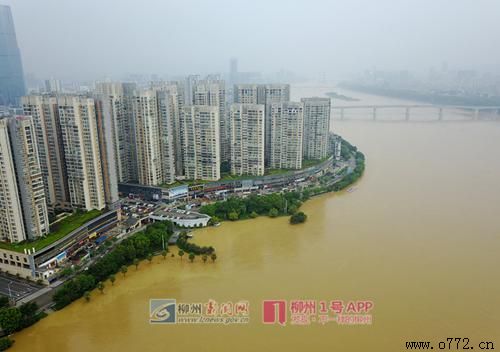 ���ݰ�ҹ�˾