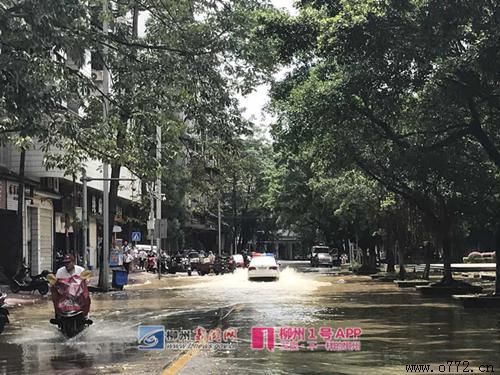 ���ݰ�ҹ�˾