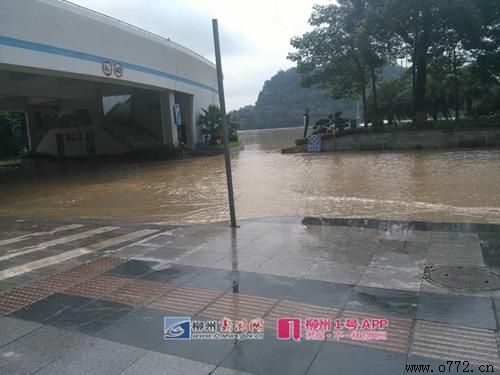 ���ݰ�ҹ�˾