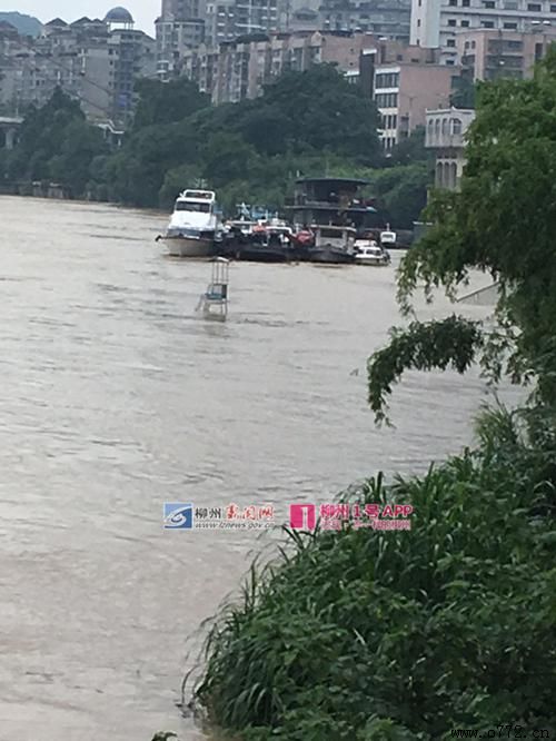 ���ݰ�ҹ�˾