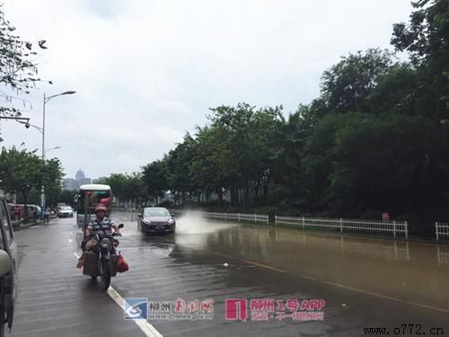 ���ݰ�ҹ�˾