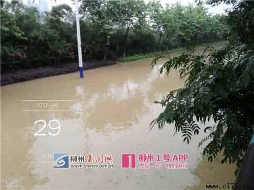 ���ݰ�ҹ�˾