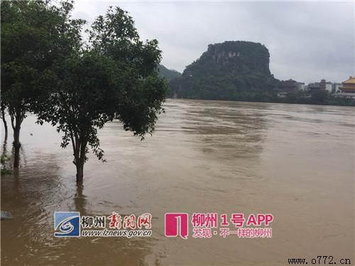 ���ݰ�ҹ�˾