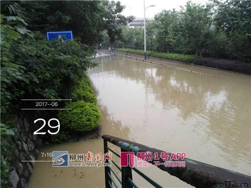 ���ݰ�ҹ�˾