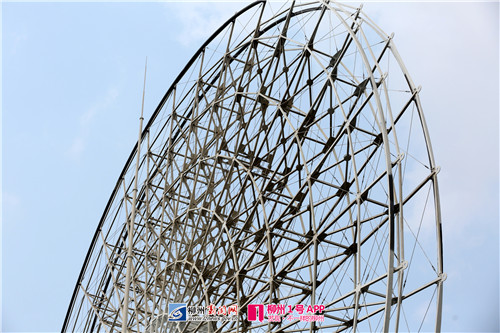 柳州迪斯尼公司