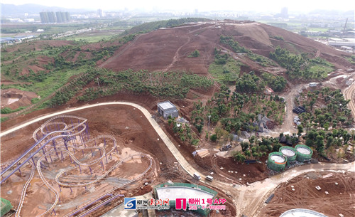 柳州迪斯尼公司