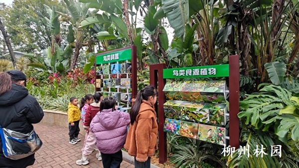 �����п�չ2026�ꡰ����ʪ���ա����������