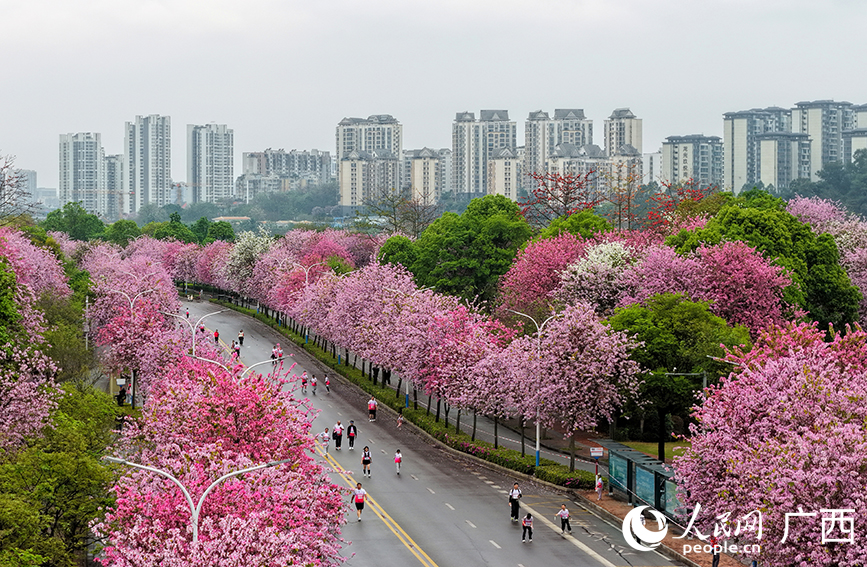 �����о����״�ȫ���ܻ1.8�����������Ͼ������л��ֱ���