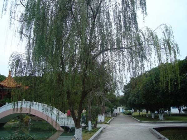 ���ݸߵ�ʦ��ѧУ