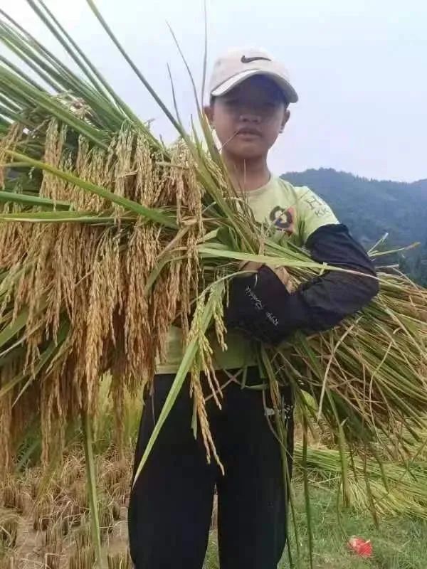 柳州市第一中学